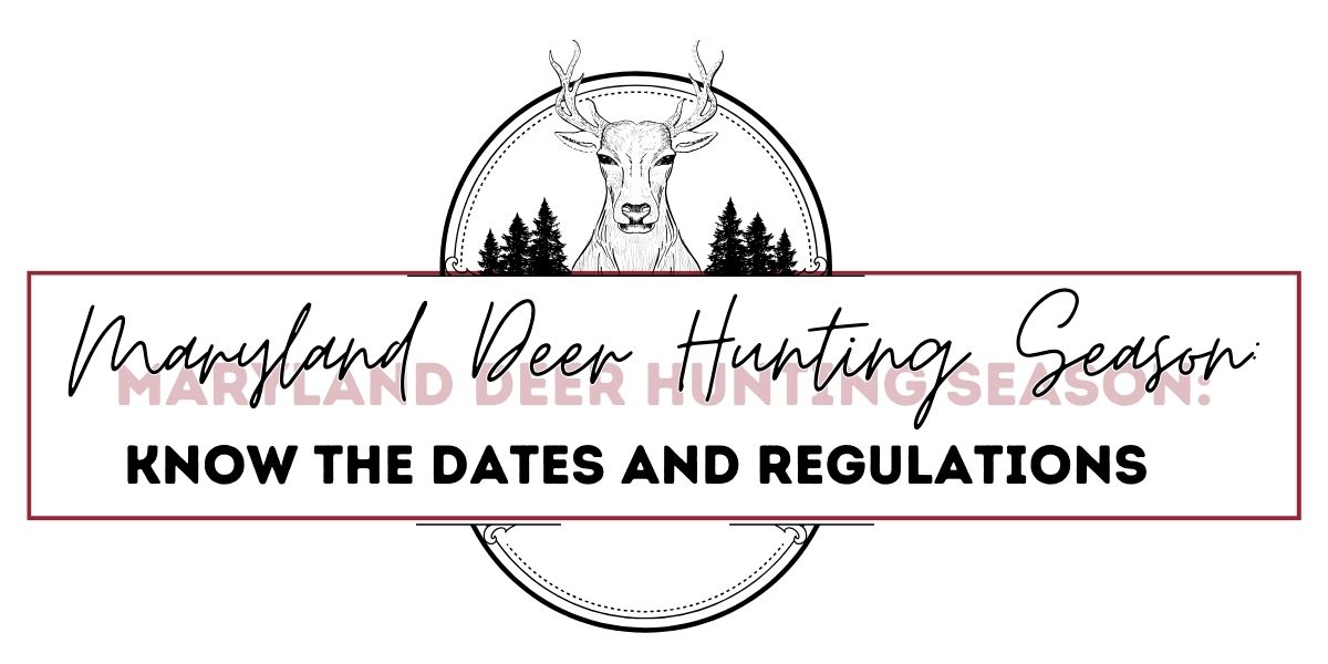 Deer Hunting Seasons in Maryland Dates and Regulations